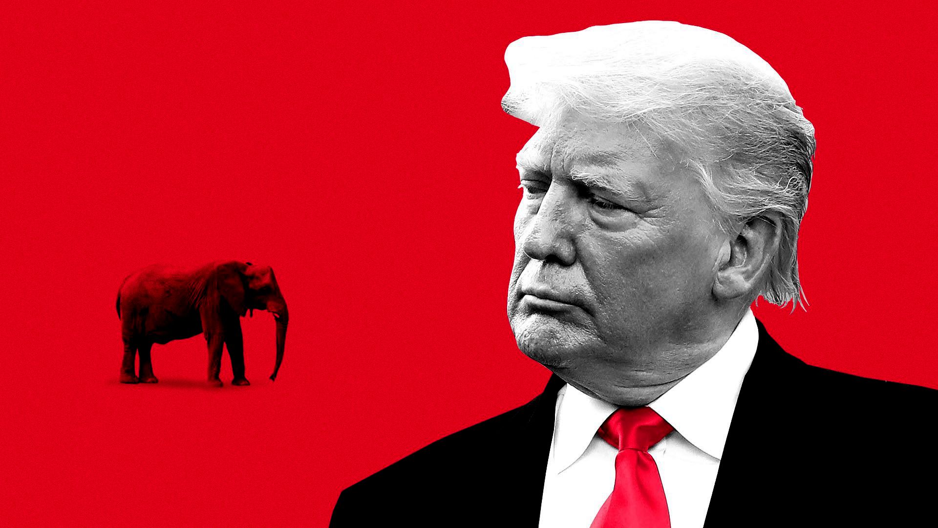 A picture of Donald trump on the red background